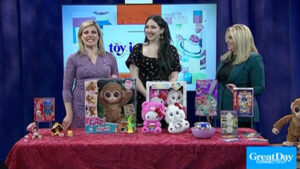 Read more about the article Beautiful Toys for Valentine’s Day on Nice Day Connecticut